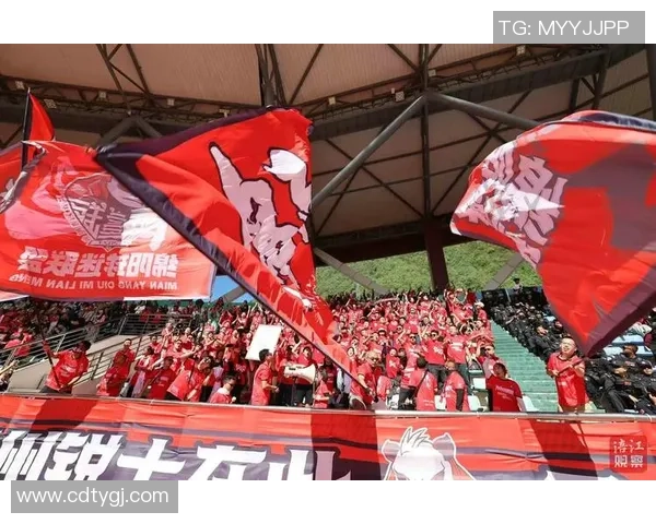 最具创意的球迷助威方式TOP5看台上的智慧与热情交融